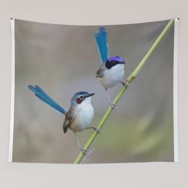 Item preview, purple fairy wren designed and sold by ritusdesigns.