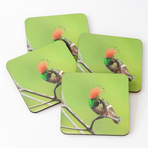 Item preview, rufous crested coquette Lophornis delattrei designed and sold by ritusdesigns.