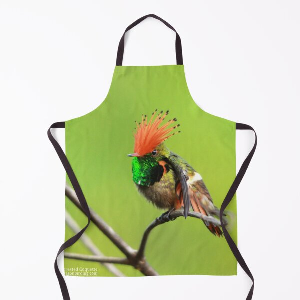 Item preview, rufous crested coquette Lophornis delattrei designed and sold by ritusdesigns.