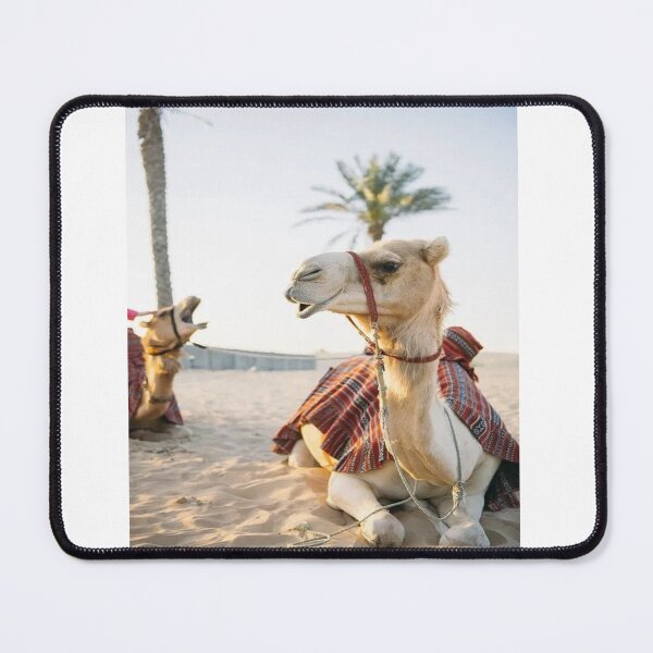 Item preview, funny camelflage art board designed and sold by DreamBigStore.