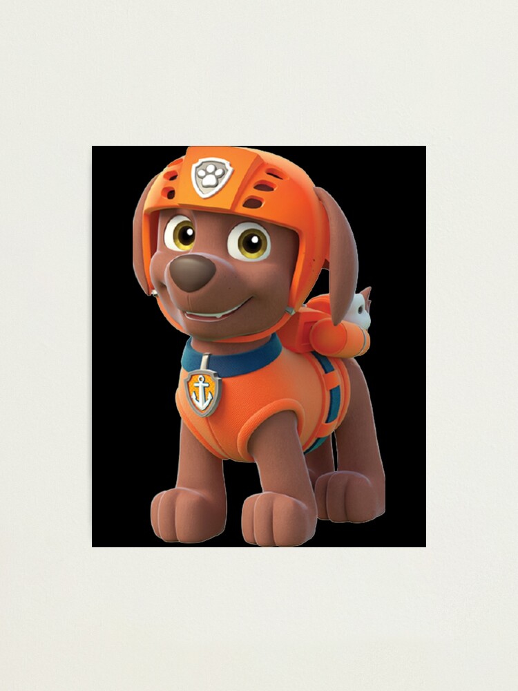 Zuma- Paw Patrol | 3D Print Model