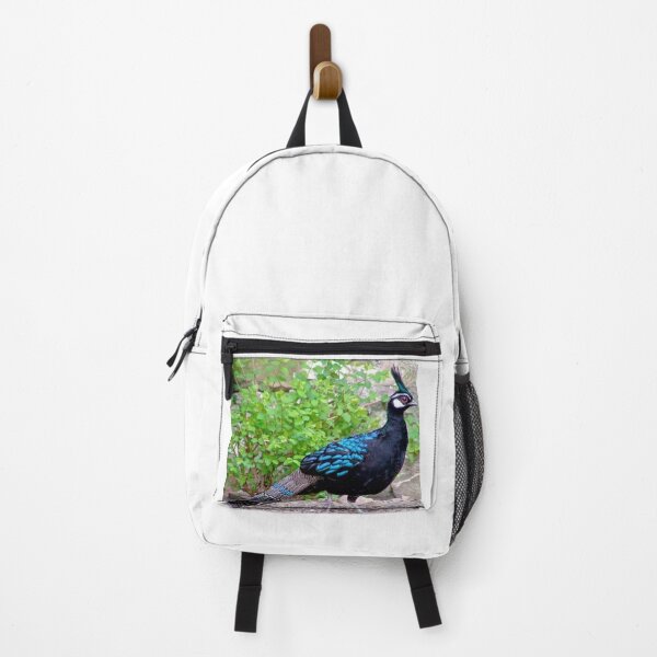 Item preview, Palawan PeacocK designed and sold by ritusdesigns.