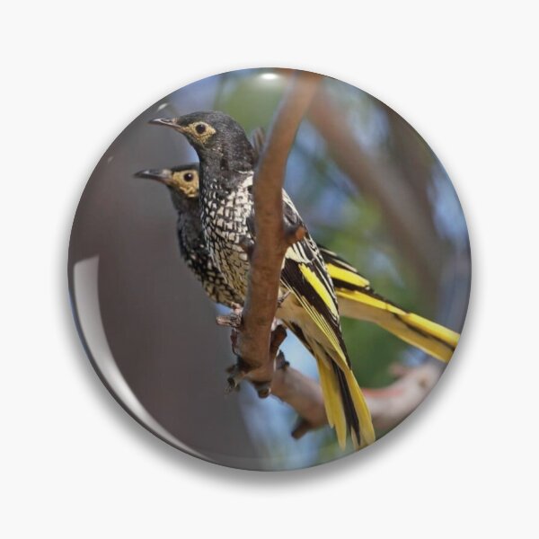 Item preview, Regent Honeyeater designed and sold by ritusdesigns.