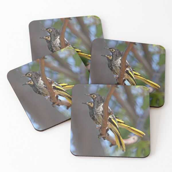 Item preview, Regent Honeyeater designed and sold by ritusdesigns.