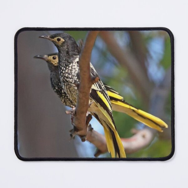 Item preview, Regent Honeyeater designed and sold by ritusdesigns.