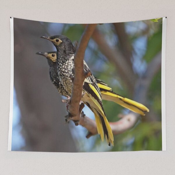 Item preview, Regent Honeyeater designed and sold by ritusdesigns.