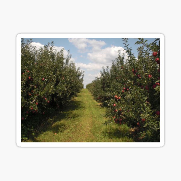 Item preview, Apple Orchard designed and sold by errudd.
