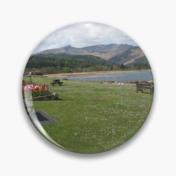 Item preview, Tulips on the beach on the Isle of Arran, Scotland designed and sold by icomeinpeace2.