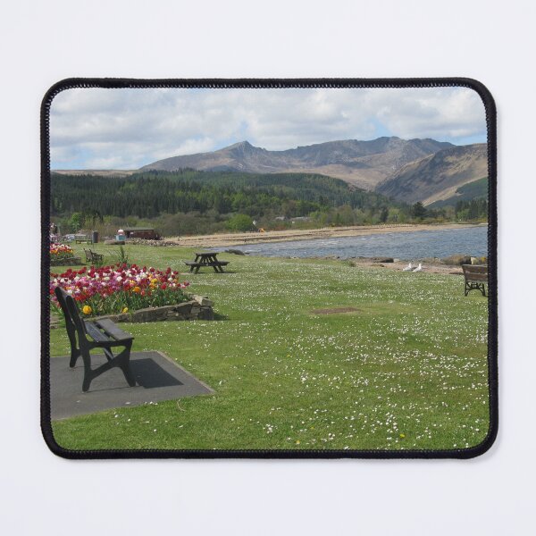 Item preview, Tulips on the beach on the Isle of Arran, Scotland designed and sold by icomeinpeace2.
