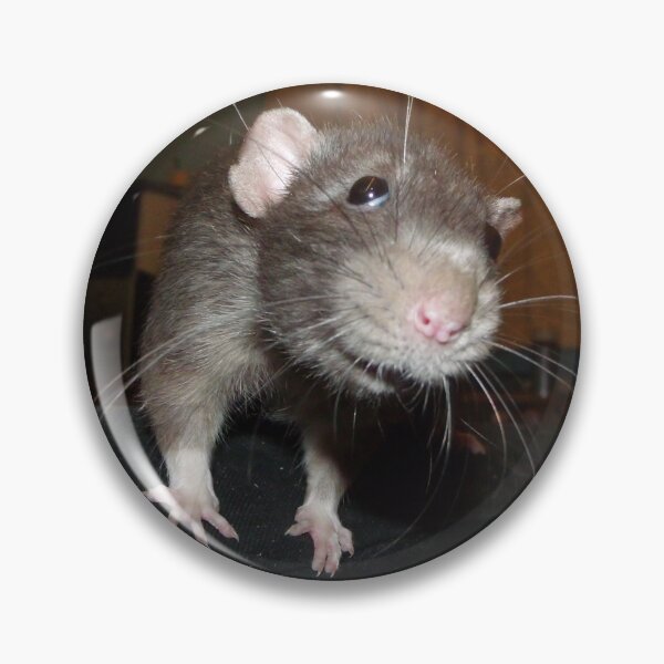 Item preview, Biff the rat designed and sold by mindgoop.