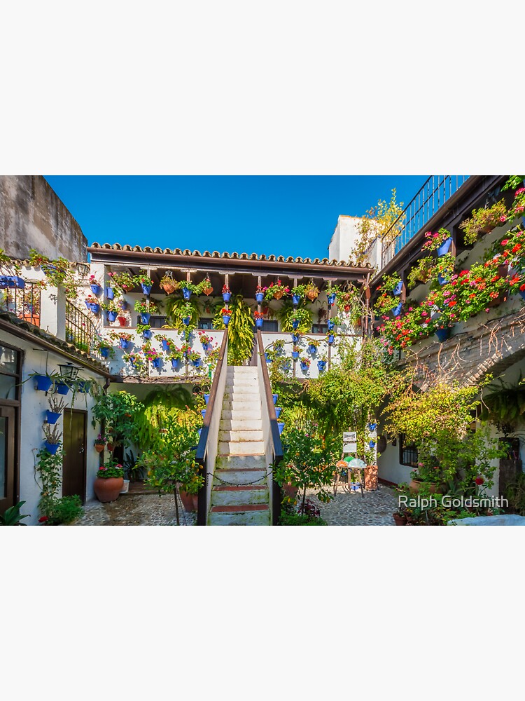 A lot of flowers by RalphGoldsmith