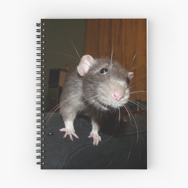 Item preview, Biff the rat designed and sold by mindgoop.