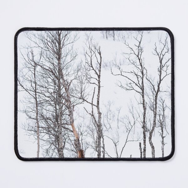 Item preview, Kapervatnet birches designed and sold by ccullen222.
