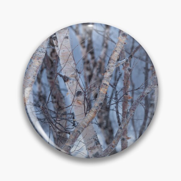 Item preview, Roadside birches in winter designed and sold by ccullen222.