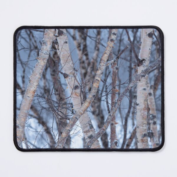 Item preview, Roadside birches in winter designed and sold by ccullen222.