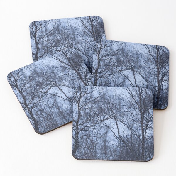 Item preview, Birch trees at dusk - arctic Norway designed and sold by ccullen222.