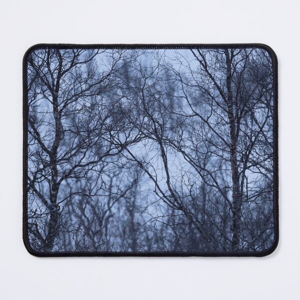 Item preview, Birch trees at dusk - arctic Norway designed and sold by ccullen222.