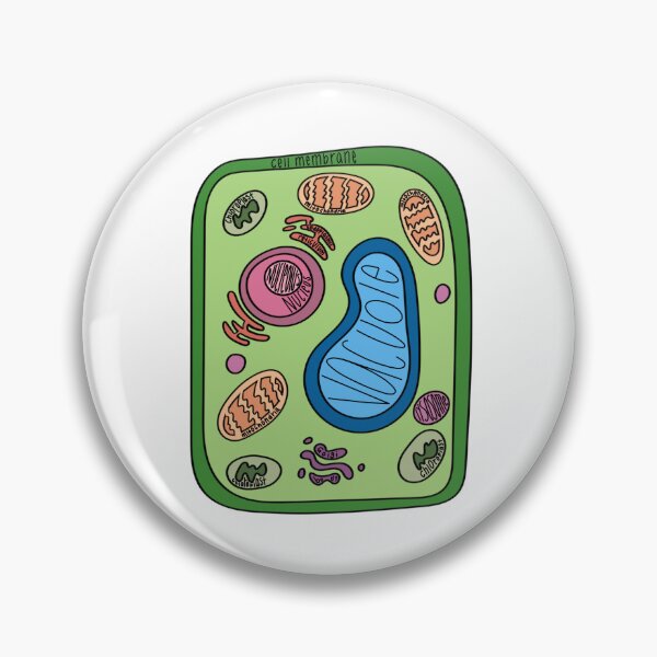 Item preview, Labeled Plant Cell  designed and sold by Katherine Winner.