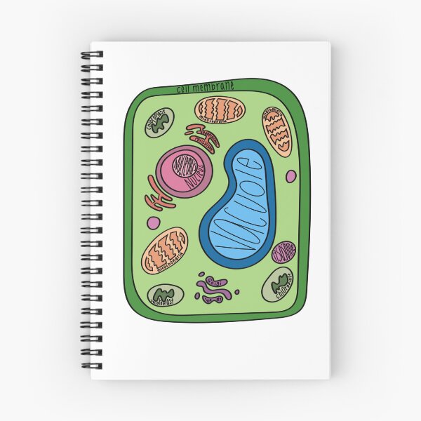 Item preview, Labeled Plant Cell  designed and sold by Katherine Winner.