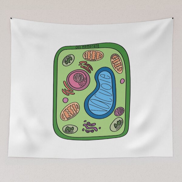 Item preview, Labeled Plant Cell  designed and sold by Katherine Winner.