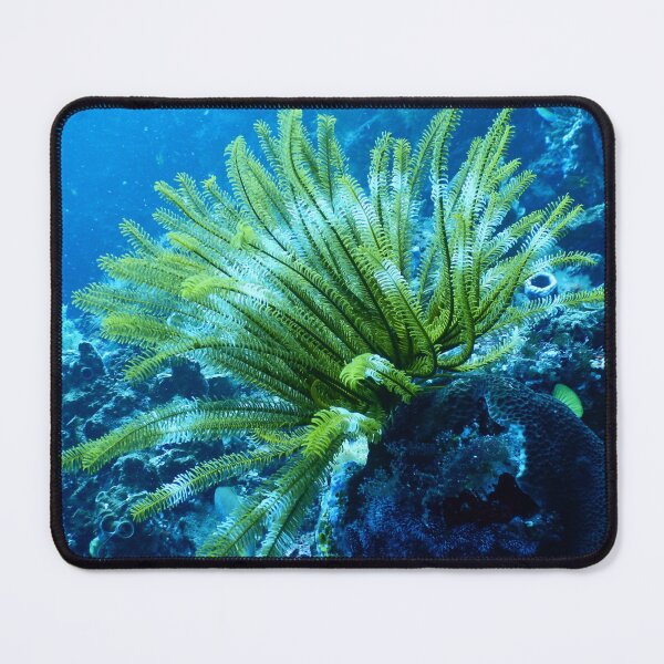 Item preview, Coral Reef designed and sold by RyansOpenDoor.