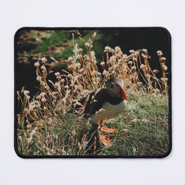 Item preview, Lone Puffin on Staffa Island  designed and sold by Emilia Oxelheim.
