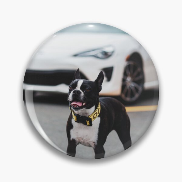 Item preview, Boston Terrier with Toyota Sports Car designed and sold by SolomonsPics.