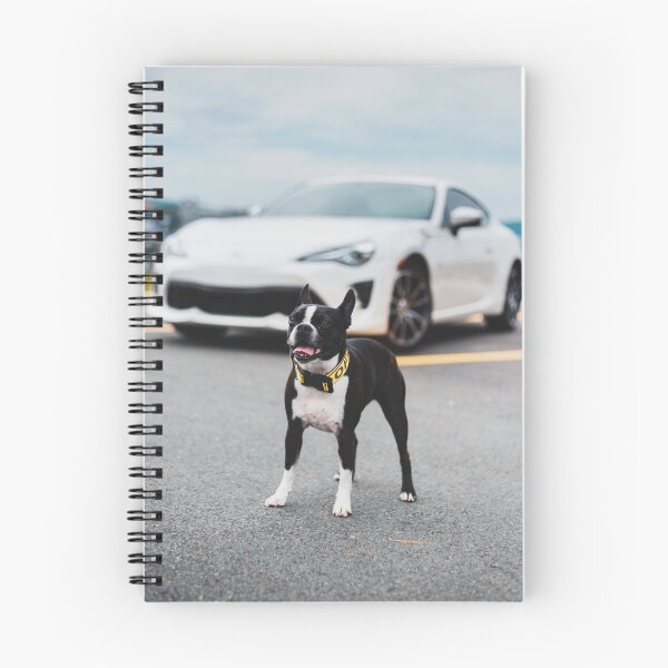 Item preview, Boston Terrier with Toyota Sports Car designed and sold by SolomonsPics.