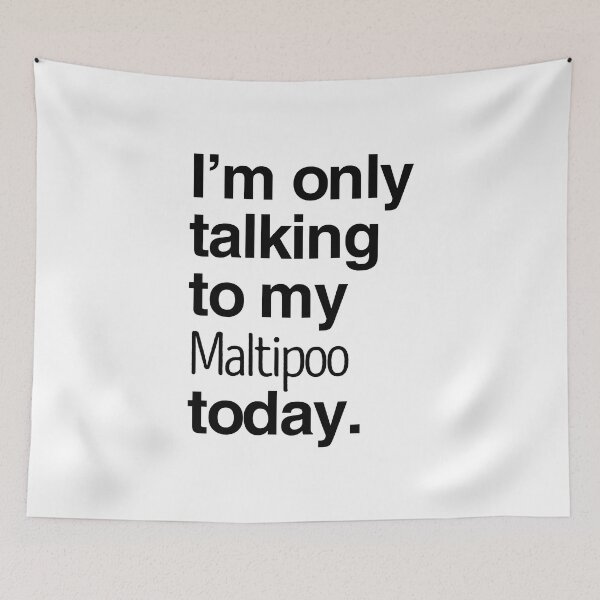 Item preview, I'm Only Talking To My Maltipoo designed and sold by More Cute Dogs.