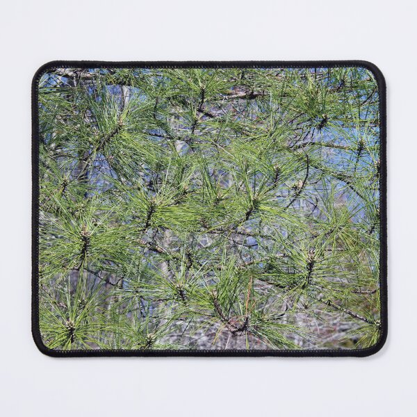 Item preview, A Wall of Green Pine Needles designed and sold by Rennie Palmer.