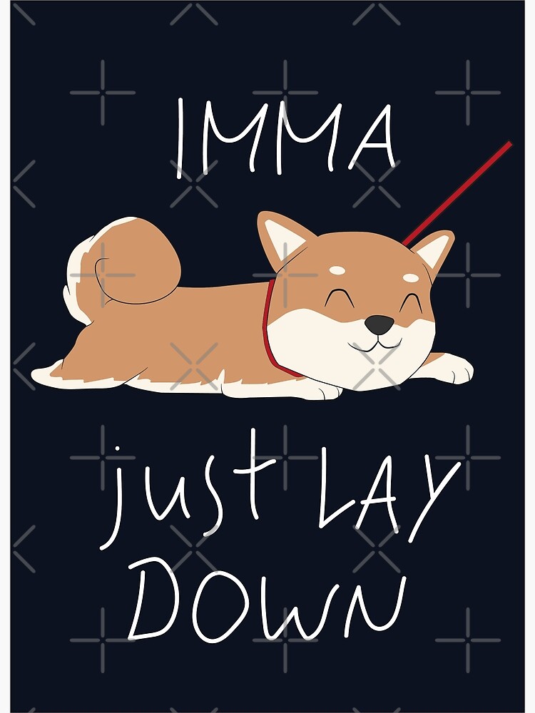 Lazy shiba sale