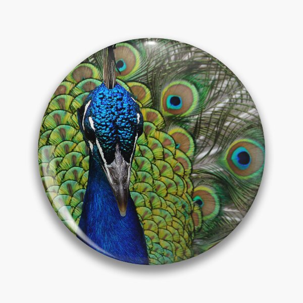 Item preview, Vivid Peacock Photo designed and sold by Happy-Trails.