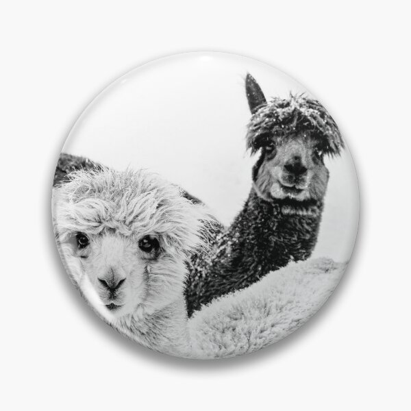 Item preview, Cute Alpacas To Brighten Your Day Art Print designed and sold by Nils Petter Stein.