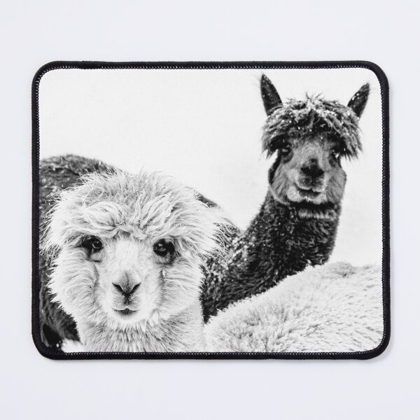 Item preview, Cute Alpacas To Brighten Your Day Art Print designed and sold by Nils Petter Stein.