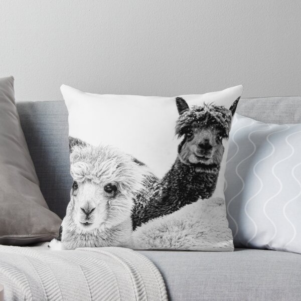 Item preview, Cute Alpacas To Brighten Your Day Art Print designed and sold by Nils Petter Stein.