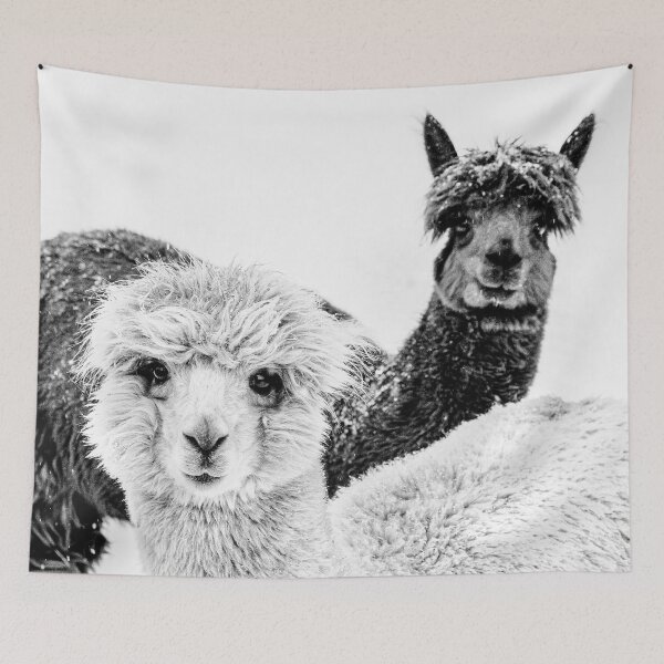 Item preview, Cute Alpacas To Brighten Your Day Art Print designed and sold by Nils Petter Stein.