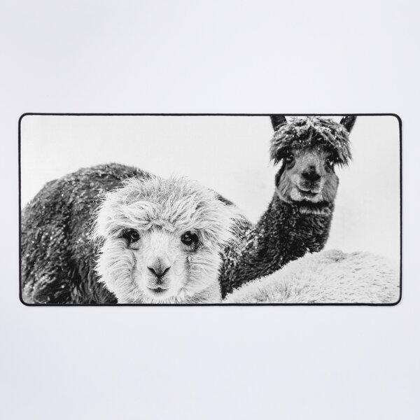 Item preview, Cute Alpacas To Brighten Your Day Art Print designed and sold by Nils Petter Stein.