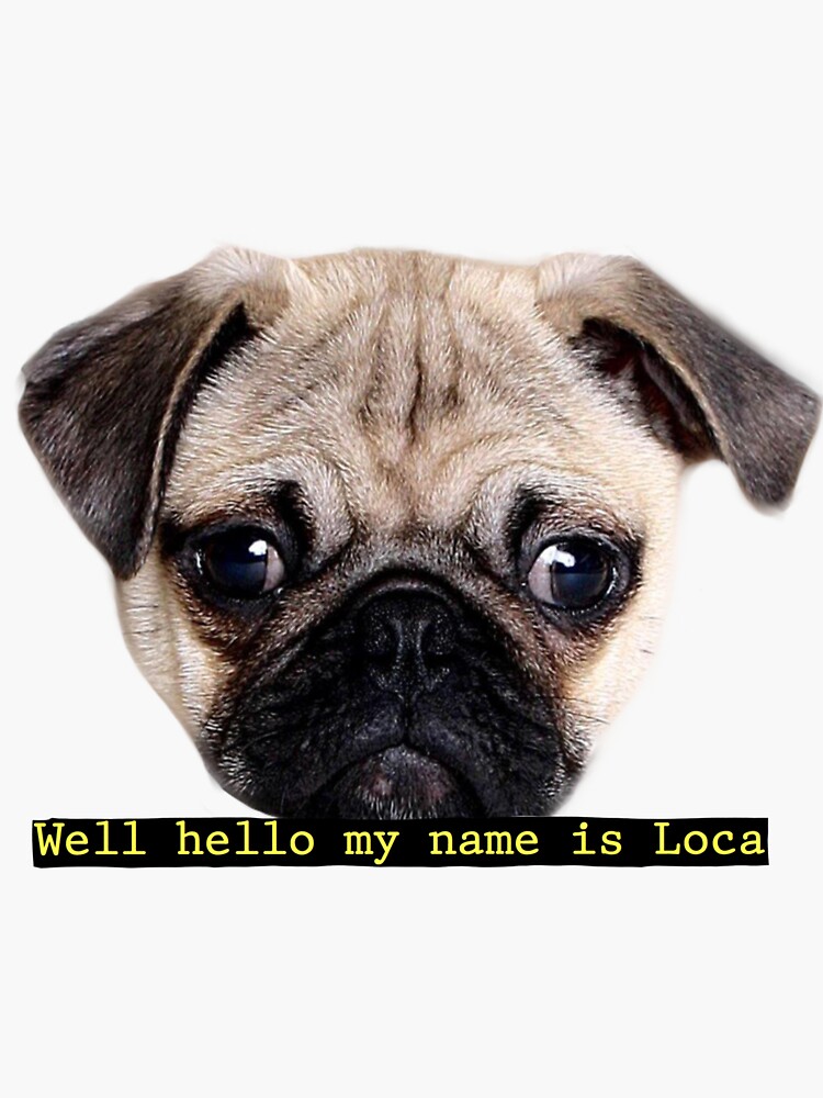 "Loca the Pug" Sticker for Sale by penandfelt Redbubble