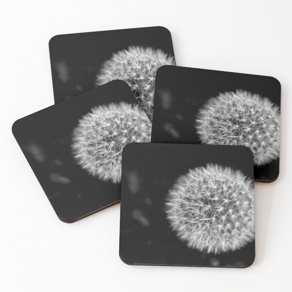 Item preview, Dandelion head in black and white designed and sold by Ann Biddlecombe.