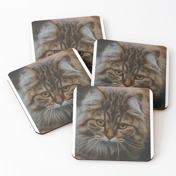 Item preview, SERIOUS BLACK AND BROWN BLACK CAT designed and sold by giantstep.