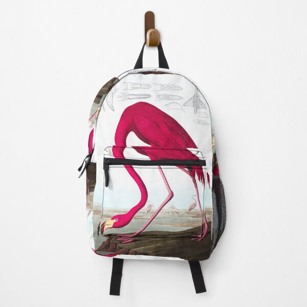 Item preview, American Flamingo by John James designed and sold by AestheticsXarts.