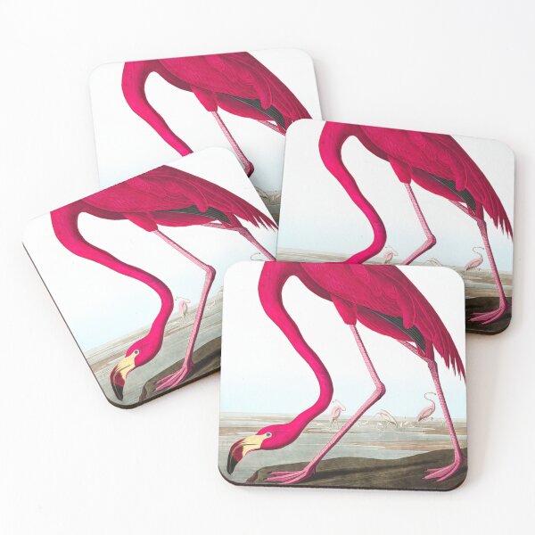 Item preview, American Flamingo by John James designed and sold by AestheticsXarts.