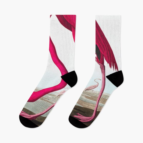 Item preview, American Flamingo by John James designed and sold by AestheticsXarts.