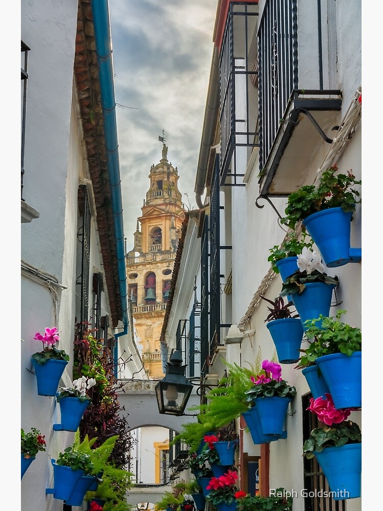 Narrow street and bell tower in Cordoba by RalphGoldsmith