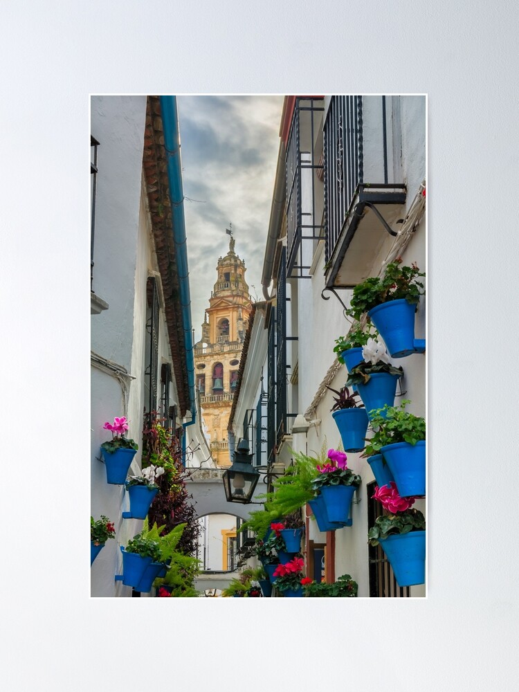 Alternate view of Narrow street and bell tower in Cordoba Poster