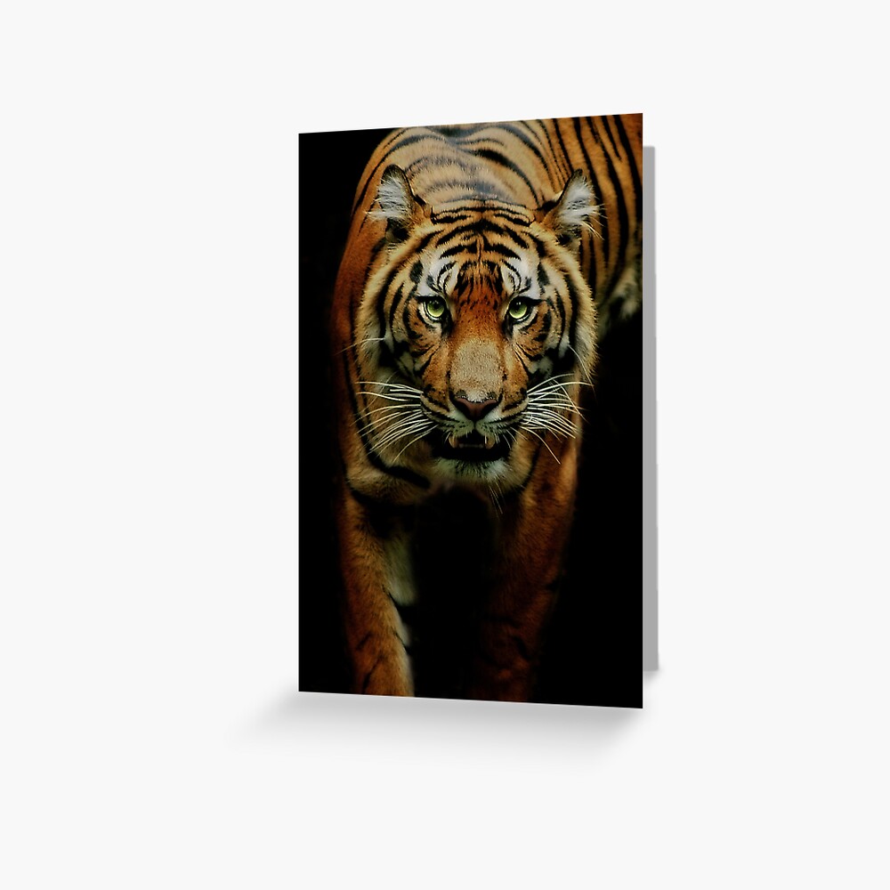 Hunter Greeting Card