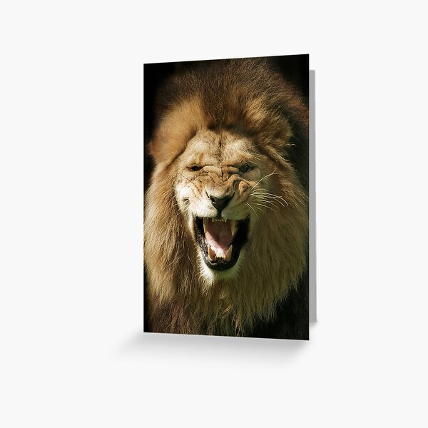 Wild Greeting Card