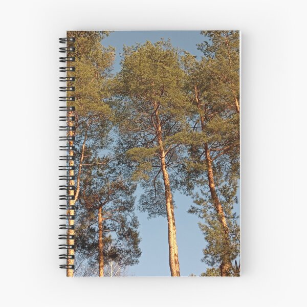 Item preview, Majestic Pines at Sunset designed and sold by mila-ola.