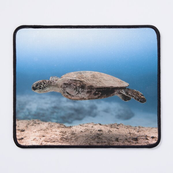 Item preview, Turtle swimming underwater designed and sold by Raureif.