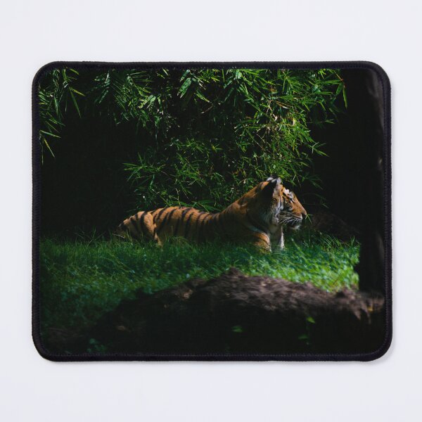 Item preview, Tiger in a Forest designed and sold by Raureif.